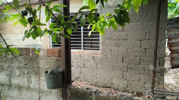 Vista de la propiedad 2
