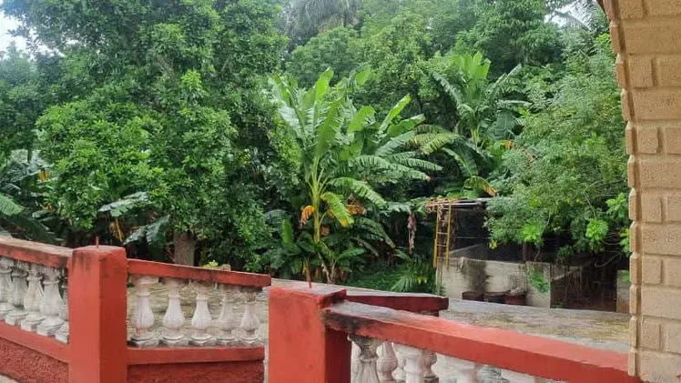 Property view 6
