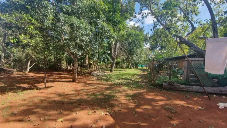 Property view 10