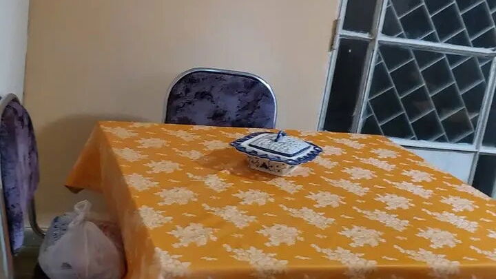 Vista de la propiedad 2