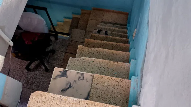 Vista de la propiedad 7