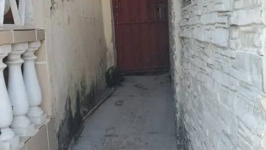 Vista de la propiedad 5