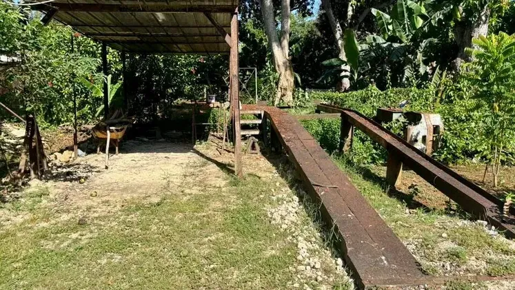 Vista de la propiedad 8