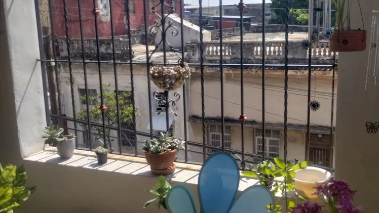 Vista de la propiedad 2