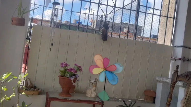Vista de la propiedad 6