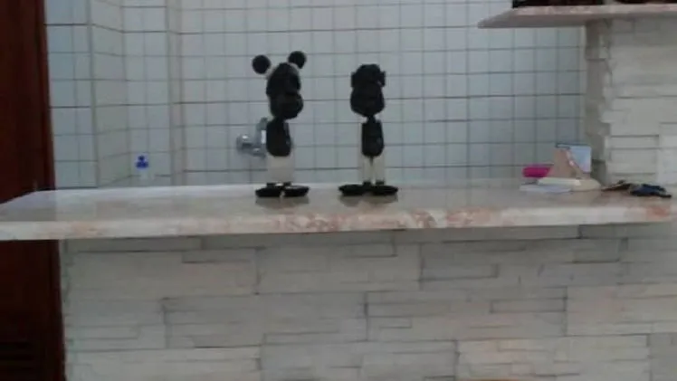 Vista de la propiedad 2