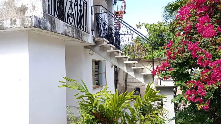 Vista de la propiedad 3