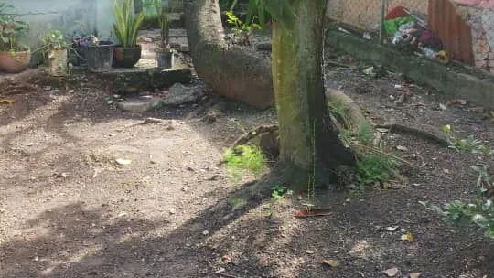 Vista de la propiedad 7