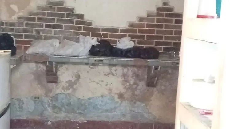 Vista de la propiedad 7
