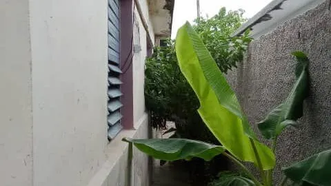 Vista de la propiedad 4