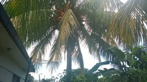Vista de la propiedad 10