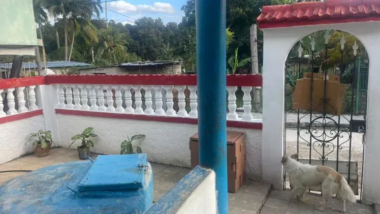 Vista de la propiedad 6