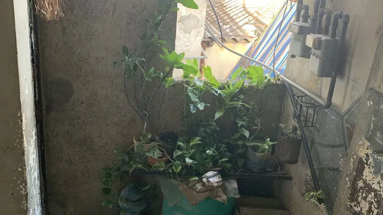 Vista de la propiedad 7