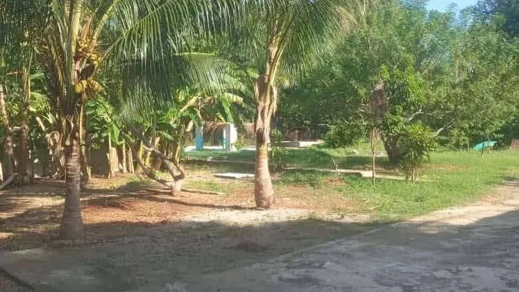 Vista de la propiedad 10