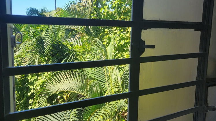 Vista de la propiedad 10