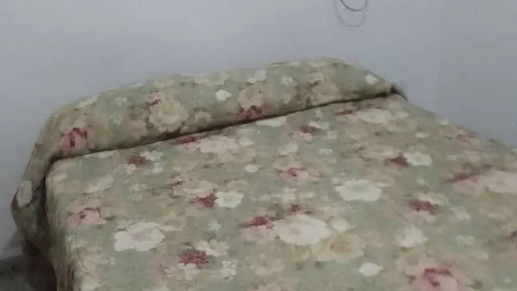 Vista de la propiedad 7