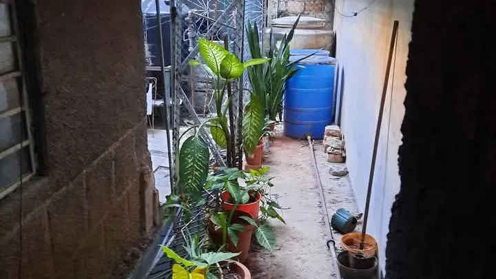 Property view 7