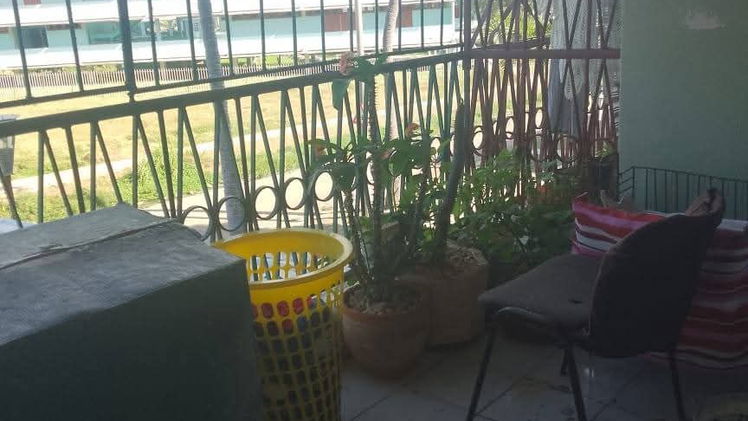 Vista de la propiedad 7
