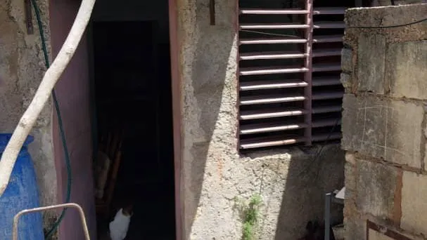 Vista de la propiedad 5