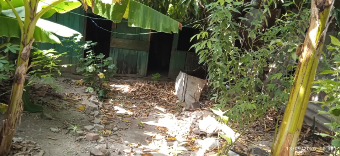 Property view 6