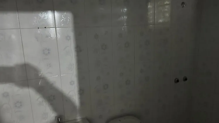 Vista de la propiedad 4