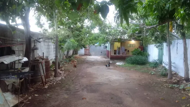 Vista de la propiedad 7