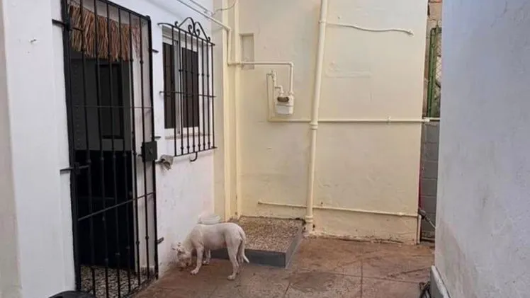 Vista de la propiedad 3