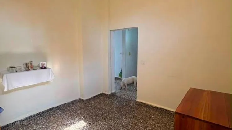 Vista de la propiedad 9
