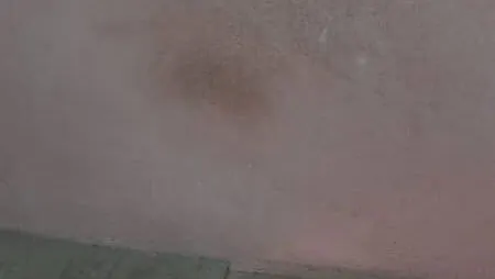 Vista de la propiedad 9