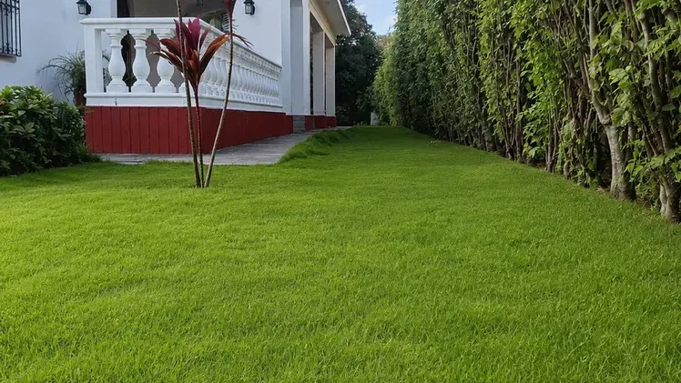 Property view 3