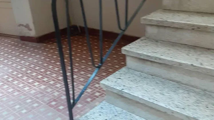 Vista de la propiedad 2