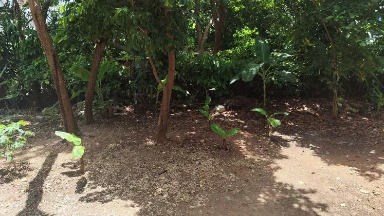 Property view 7