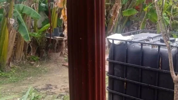 Vista de la propiedad 5