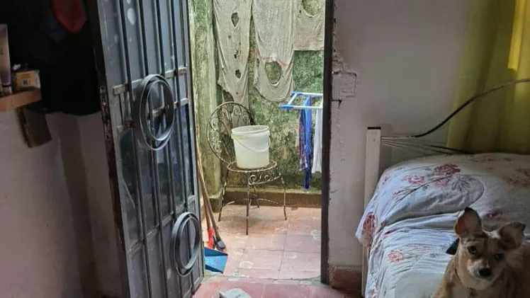 Vista de la propiedad 8