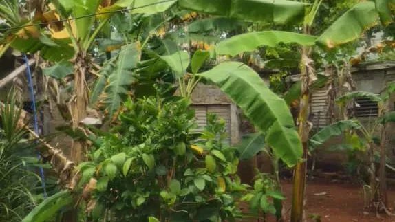 Property view 4