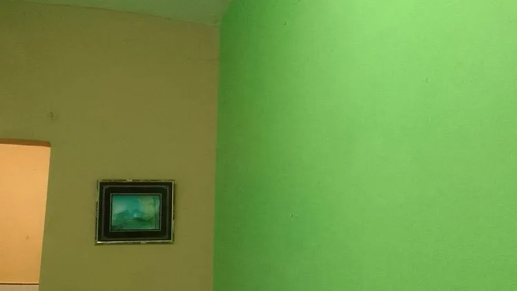 Vista de la propiedad 2