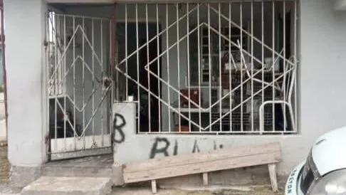 Vista de la propiedad 3