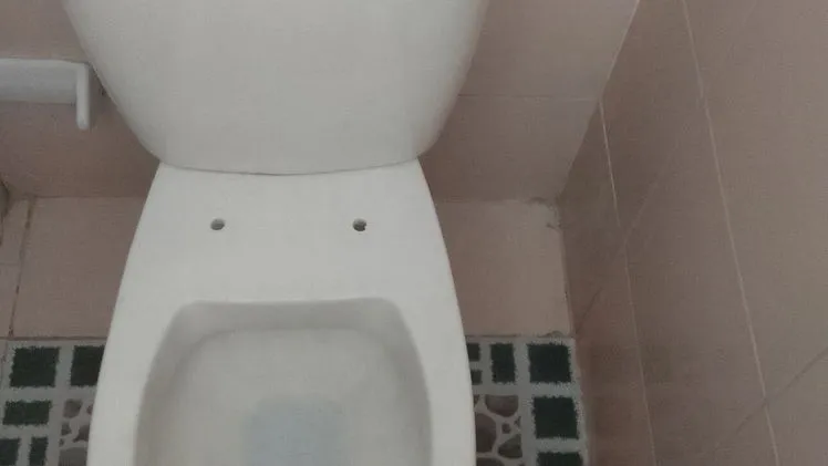 Vista de la propiedad 8
