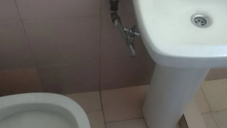 Vista de la propiedad 10