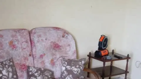 Vista de la propiedad 2