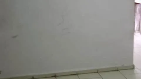 Vista de la propiedad 9