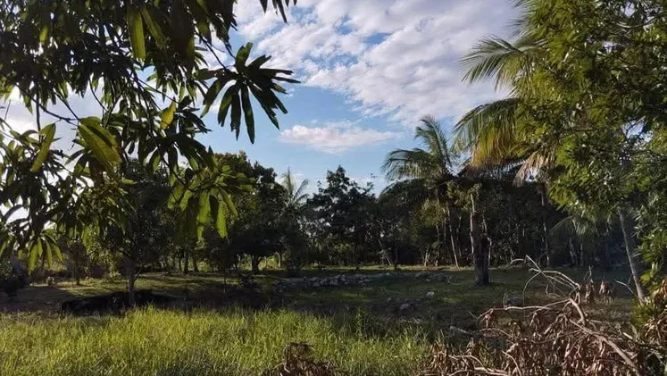Vista de la propiedad 3