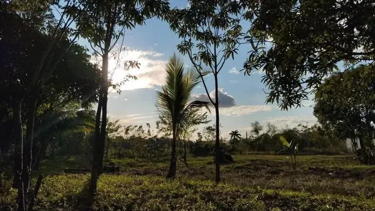 Vista de la propiedad 2