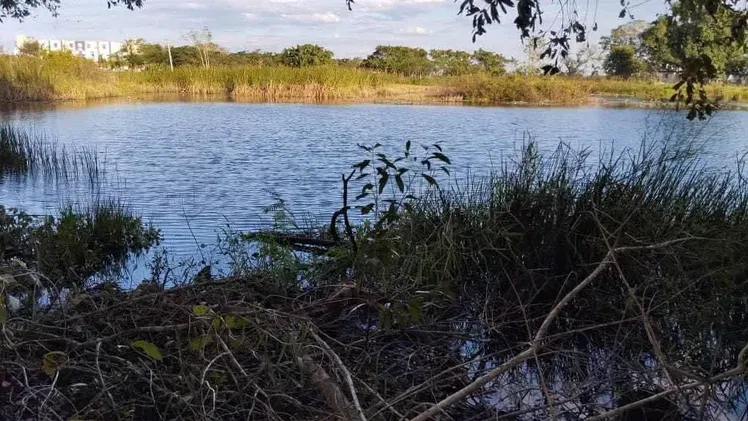 Vista de la propiedad 6