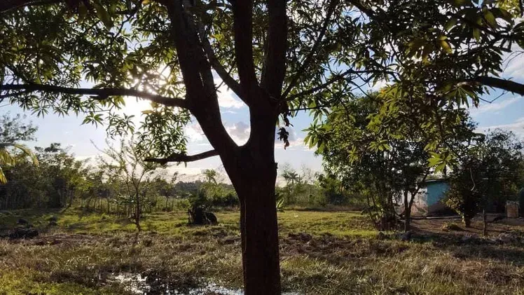 Vista de la propiedad 7