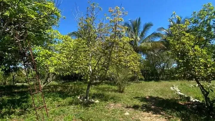 Vista de la propiedad 8