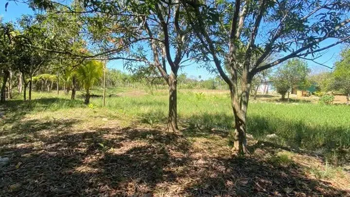 Vista de la propiedad 9
