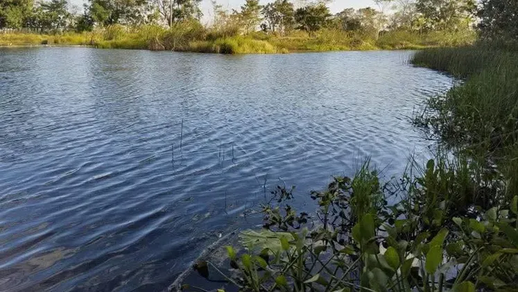 Vista de la propiedad 10