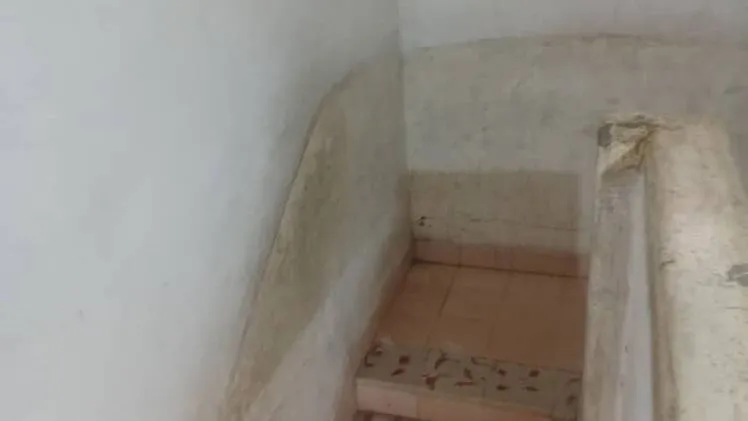 Vista de la propiedad 8