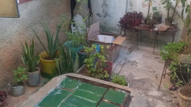 Vista de la propiedad 3